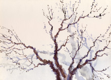Watercolor Landscape. The Bare Branches Of A Tree