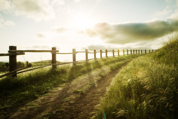 sunset path