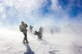Fototapeta Nowy Jork - Bufera e tormenta di neve con persone