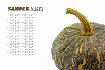 pumpkins over white with sample text