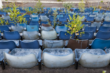 Overgrown old stadium seats