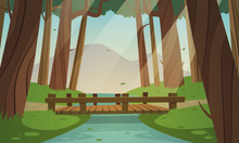 Small Wooden Bridge In The Woods