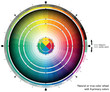 Natural or true color wheel with four-primary colors