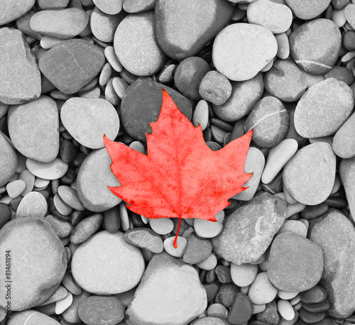 Naklejka na meble sea stones black and white photo Canada