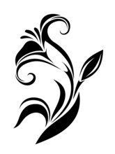 Lily Flower. Vector Black Silhouette.