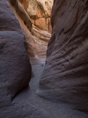 Wall Mural - Little Wildhorse Canyon