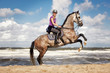 Reiterin lässt ihr pferd am meer steigen