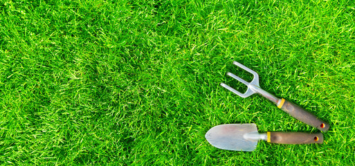 Poster - Gardening tools on green grass.