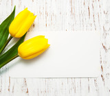 Fototapeta Tulipany - tulips with a card