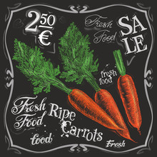 Ripe Carrots Vector Logo Design Template.  Fresh Vegetables