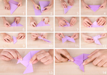 Wall Mural - Origami paper bird. Instructions for assembly