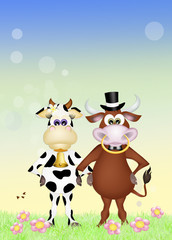 Poster - Cow and bull in love