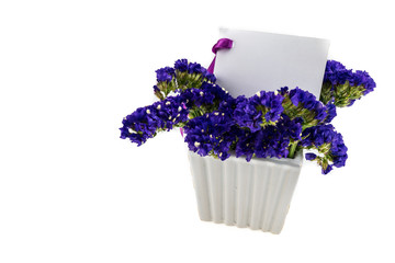 Card and Statice flower in white  ceramic vase  isolated on whit