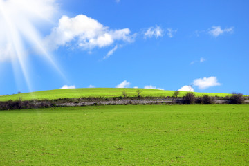 Wall Mural - Collina con erba verde e raggi di sole nel cielo blu