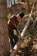 Old woodcutter at work with chainsaw