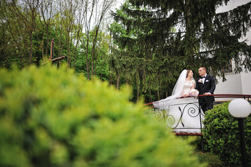 Wall Mural - Wedding couple at the little bridge