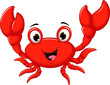 funny cartoon crab