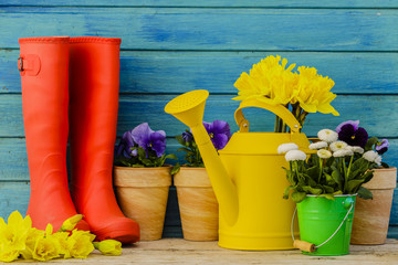 Spring flowers in the garden