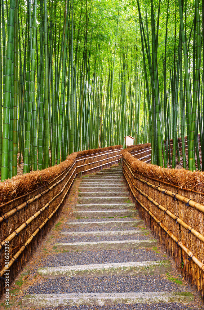 Fototapeta Droga w lesie bambusowym 