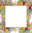 © kostanproff - Watercolor flower frame on white background