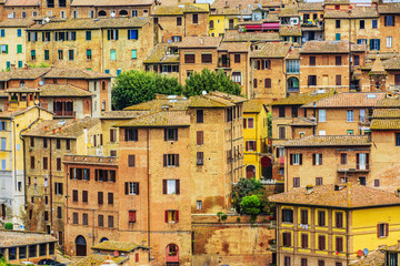 Wall Mural - Siena, Tuscany, Italy