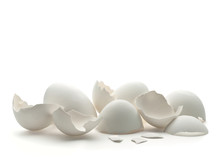 White, Egg Shell On A White Background
