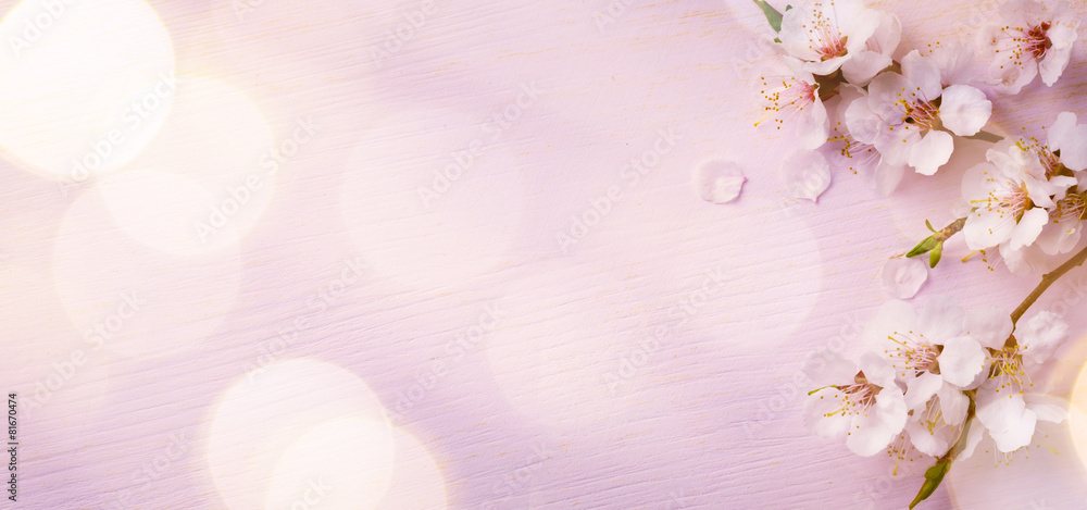 Art  Spring border background with pink blossom - obrazy, fototapety, plakaty 