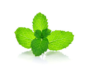 Canvas Print - fresh mint leaves on a white background