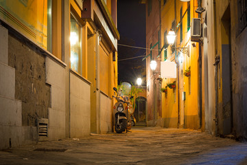 Wall Mural - Streets of Pisa at night with traditional architecture, Italy