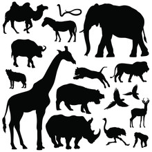 African Wildlife Silhouettes