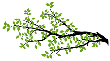tree branch silhouette, vector graphics