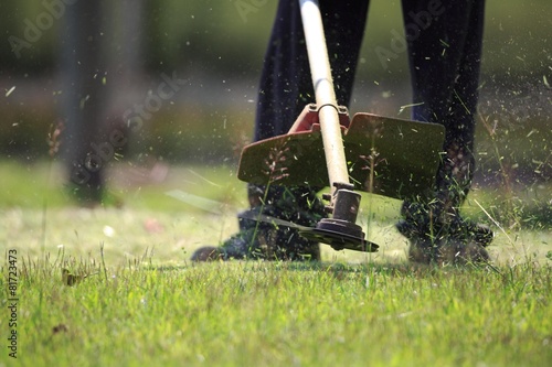 Fotomural  The gardener cutting grass by lawn mower