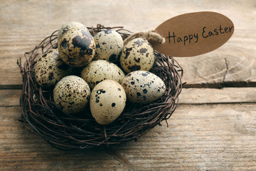 Wall Mural - Bird eggs in nest on wooden background