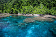 Colorful Shoreline in Tropical Pacific