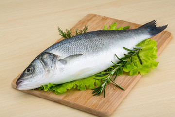 Raw seabass