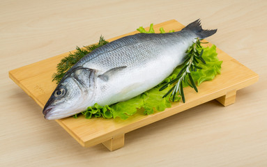 Raw seabass