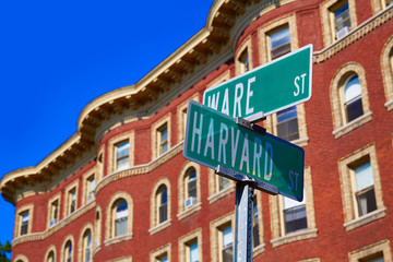 Fototapete - Harvard street st in Cambridge Massachusetts