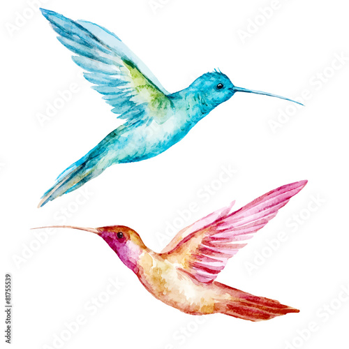 Plakat na papierze fotorealistycznym Akwarela ptak colibri