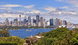 Sydney City Day Panorama from Zoo