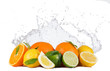 Citruses with water splashes on white