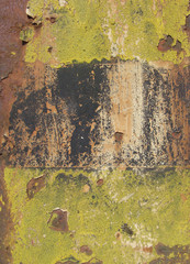 Wall Mural - rusty grunge background with yellow paint remains