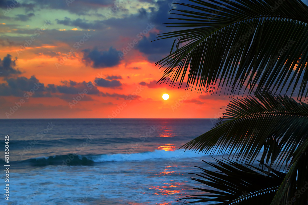 beautiful sea sunset and palm leaves