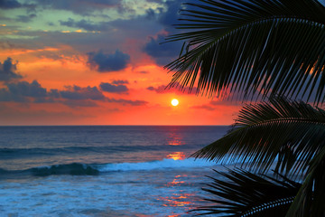 Wall Mural - beautiful sea sunset and palm leaves