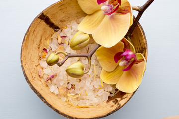 Wall Mural - Sea salt, yellow orchid.