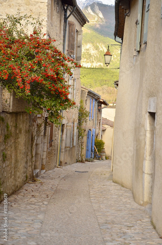 Plakat na zamówienie średniowieczna uliczka we Francji