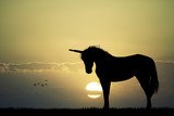 Fototapeta Konie - Unicorn silhouette