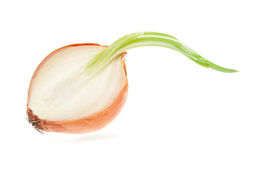 Wall Mural - Half of onion isolated on white background