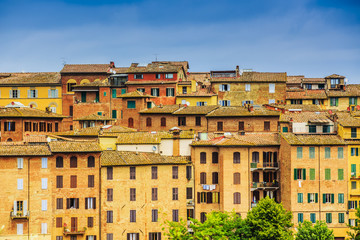 Wall Mural - Siena, Tuscany, Italy