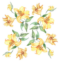 Seamless Pattern With Flowers Lily Watercolor