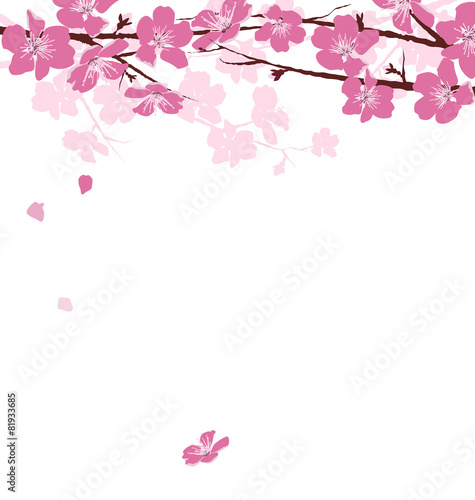 Branches with pink flowers isolated on white background плакат
